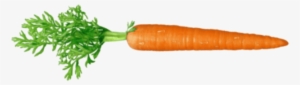 Free Png Carrot Png Images Transparent - Carrot With No Background