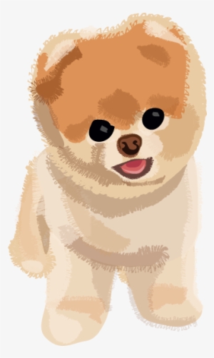 Boo Dog Png Transparent Image - Perro Png