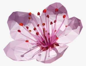 Cherry Blossom Flower Made Up Of 932 Triangles, Adobe - Plum Blossom Japanese Flowers