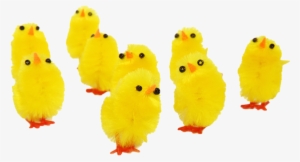 Easter Png Images And Clipart Pictures - Happy Birthday Baby Chicks