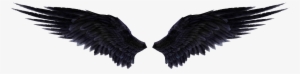 Black Angel Wings Png