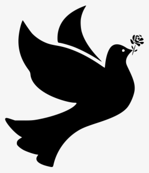Bird Birds Dove Doves Flight Fly Flying Peace Rose - Flying Doves Png Transparent