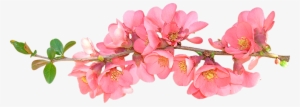 67185691 Flower Clipart Cute Sprig Of Spring Flowers - Spring Flowers Transparent Background
