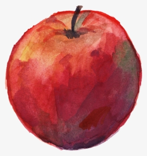 Vector Library Download Apple Png Onlygfx Com Free - Hd Watercolor Apple Paint Png