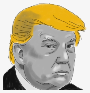Trump Administration - Donor - Adviser - Sketch