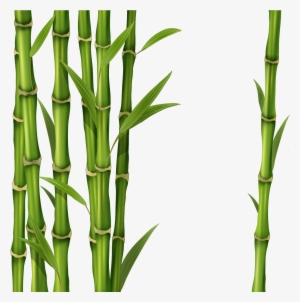 Clipart Stock Clipart Sign Free On Dumielauxepices - Transparent Background Bamboo Clipart