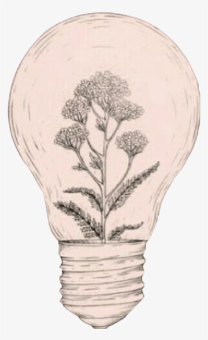 Drawing Idea Aesthetics Art Sketch - Plant Light Bulb Art