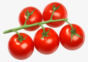 Tomatoes Branch Png Clipart - Tomatoes Clipart