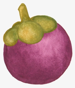 Mangosteen,tropical Fruit,purple Vector Graphics,free - Gambar Animasi Buah Manggis