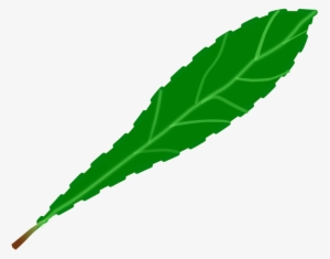 Drawing Leaf Computer Icons Green Watercolor Painting - Single Green Leaf Clip Art