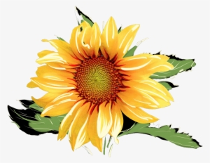 Sunflowers Png Watercolor - Watercolor Sunflower Transparent Background