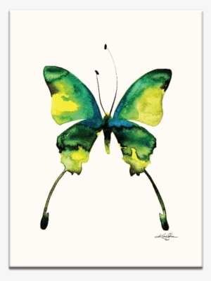Home - Gerahmtes Leinwandbild Schmetterling 5 Artist Lane