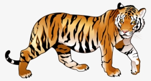 Tiger Png Images The Deadly Asian Cat Png Only Tiger