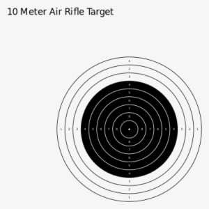 240 × 240 Pixels - 10 Meter Air Target