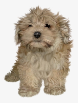 Puppies Png Download Image - Puppy Png