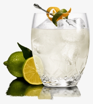 Cocktailspng - Cocktail Png Transparent PNG - 1440x590 - Free Download ...