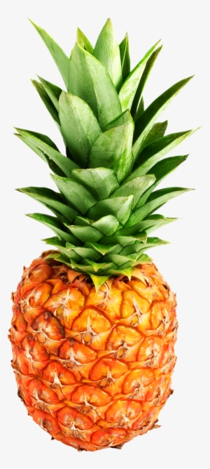 pineapple png image - pineapple png