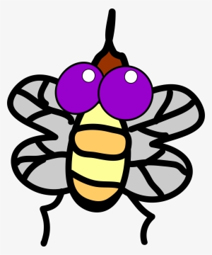 Fly Png