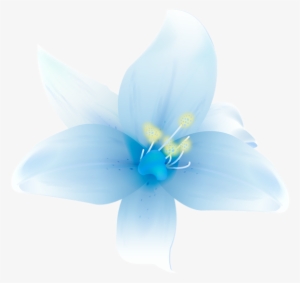 Beautiful Flowers Png By Hanabell1 - White Blue Flowers Png