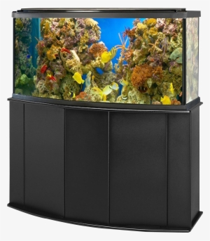 aquarium fish tank png image - aquarium fish tank png