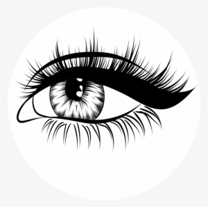 Eyebrow Drawing At Getdrawings - Lash Drawing Transparent