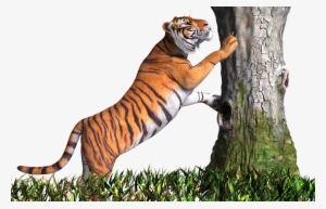 Tiger Png Transpa Images And Clipart Free - Picsart Tiger Png
