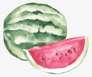 Watercolor Painting Lychee Illustration - Watermelon Clipart Watercolor