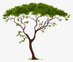 Exotic Tree Png Clip Art - Tree Clipart Transparent Background