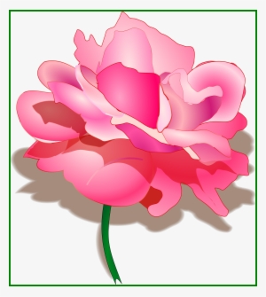 The Best Watercolor Peonies Clipart Now Available Pretty - Peony Clipart Transparent Background
