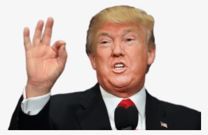 Free Png Donald Trump Png Images Transparent - Minion Minion Large Mug