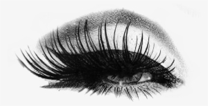 Logo - Eyelash Extension Lash Logo