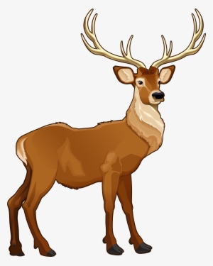 Picture Free Stock Brown Png Picture Animals Clip Art - Reindeer Clipart