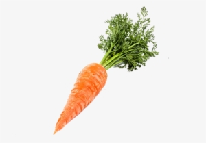 Single Carrot - Transparent Background Carrot Png