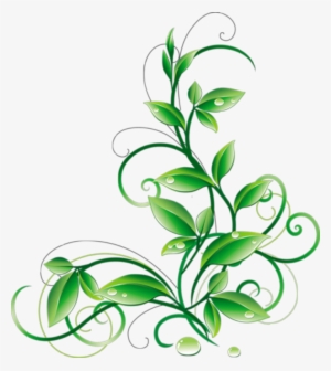 Floral Green Leaves And Water Droplets Png Clipart - Green Flowers Png