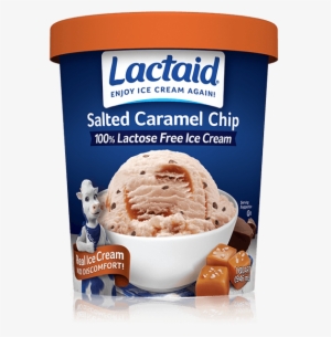 Lactaid® Salted Caramel Chip Ice Cream - Lactaid Ice Cream