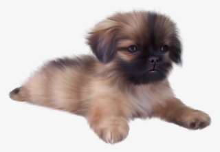 Puppy With Transparent Background