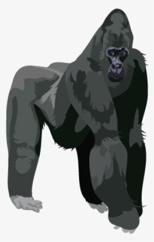 201502 Gorilla - Gorilla Png