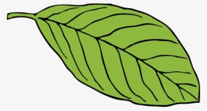 Free Vector Oval Leaf Clip Art - Cartoon Image Of Leaf