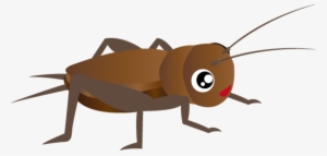Cricket Insect Png Hd - Insect Clipart Png