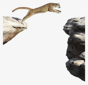 Click And Drag To Re-position The Image, If Desired - Stoat