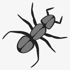 Ant Clip Art At Clker Com Vector - Ant Clip Art