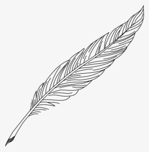 Feather Quill Nib Pens Ink - Feder Clipart