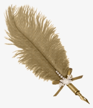 Tan Feathered Pen - Pink Feather Png