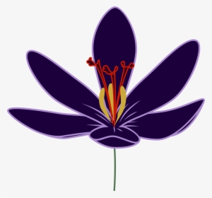 Crocus Clipart Big Flower - Saffron Flower Clipart