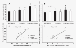 Effect Of Nos Inhibition Alone Or Nos Inhibition In - Methylarginine