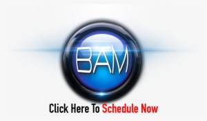 Bam Schedule Now Button - Emblem