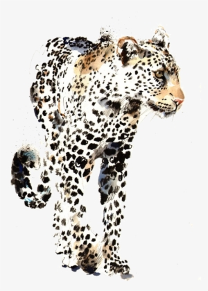 Png Library Library Saatchi Gallery Artist Watercolor - Manchas De Jaguar Dibujo