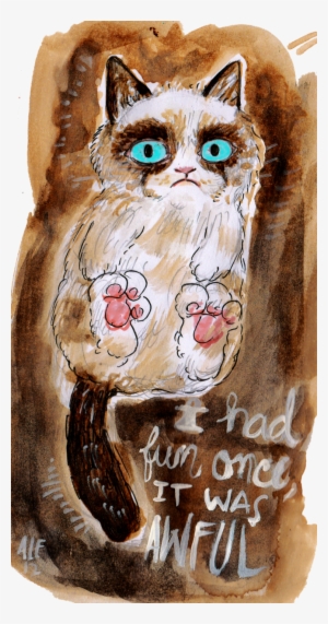 Make Art, Grumpy Cat, Rats, Inspire Me, Grumpy Kitty, - Eastern Screech Owl