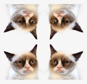 Grumpy Cat Postage Stamp