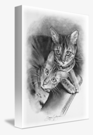 Bengal Cats In Pencil By Joyce Geleynse - Cat